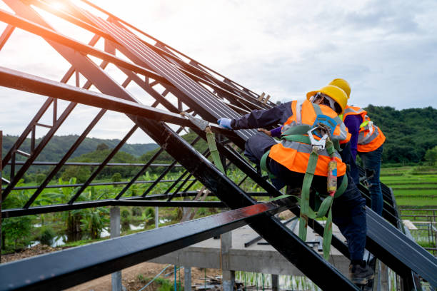 Best Metal Roofing Contractor  in Belleville, MI