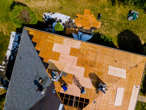 Best Local Roofing Companies  in Belleville, MI