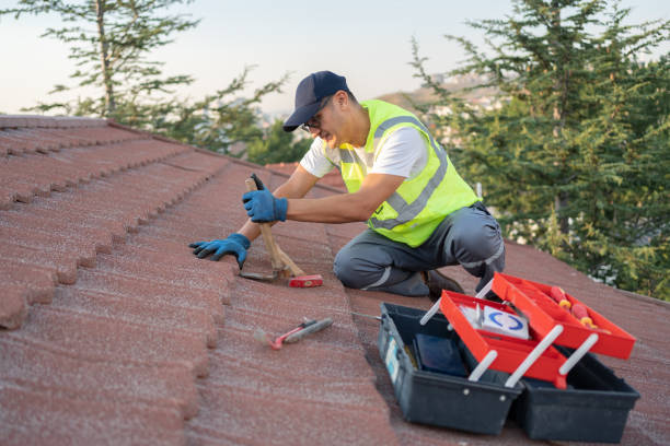 Best Metal Roofing Contractor  in Belleville, MI