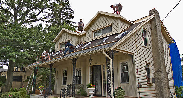 Best New Roof Installation  in Belleville, MI