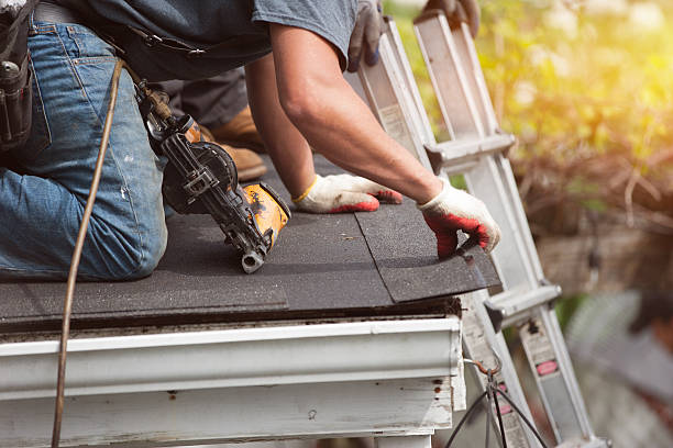 Residential Roof Replacement in Belleville, MI